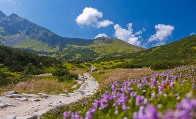 House Hanka, High Tatras Стара-Лесна Экстерьер фото